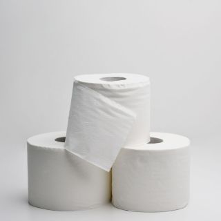 toilet-paper-rolls-isolated-white-background